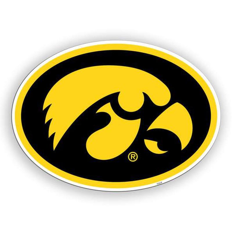 NCAA IOWA HAWKEYES 12" MAGNET-Fremont Die-Big Fan Arena